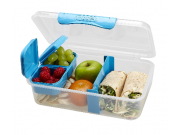 Addis 'Click to Seal' Lunch Box (25.4 x 15.2 x 8.25cm / 10 x 6 x 3.25")